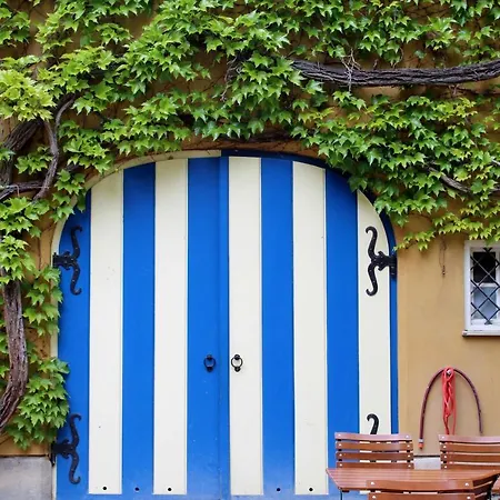 酒店 Arthotel Ana Gold 3*