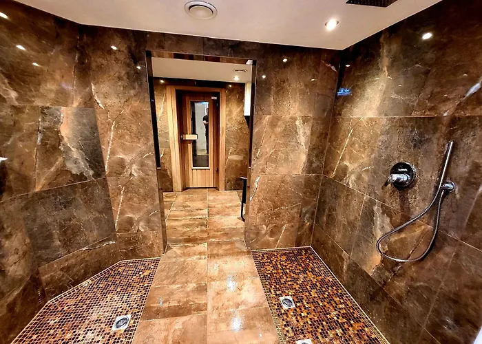 Arthotel Ana Gold 酒店