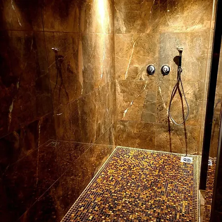 Arthotel Ana Gold ホテル 3*