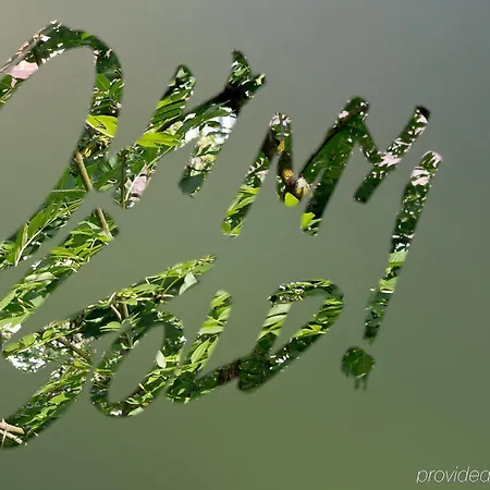 Arthotel Ana Gold Hotel 3*