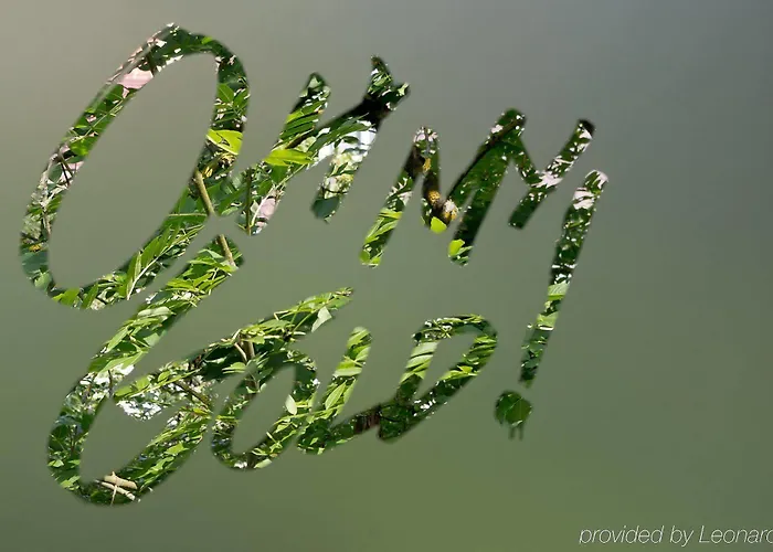 Arthotel Ana Gold Hotel 3*